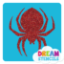 Picture of Spider Glitter Tattoo Stencil - HP-112 (5pc pack)