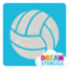 Picture of Volleyball - Glitter Tattoo Stencil - HP-356 (5pc pack)