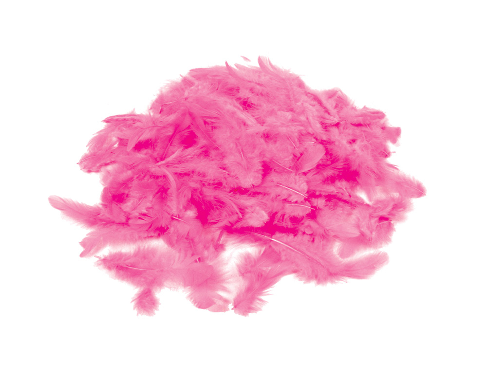 Picture of Craft Medley - Decorative Feathers 12g - Pink (FC202E)