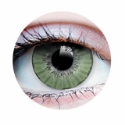 Picture of Primal Moonlight Jade (Green Colored Contact Lenses) 503