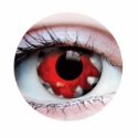 Picture of Primal Walking Dead II ( Red Colored Contact lenses ) 940