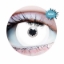 Picture of Primal White Mini Sclera ( White Colored Contact lenses ) 960