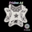 Picture of PK Frisbee Stencils - Fairy and Stars  A4