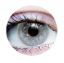 Picture of Primal Pure Ocean (Blue Colored Contact Lenses) 647