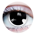 Picture of Primal Manga ( Black Colored Contact lenses ) 949