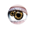 Picture of Primal Mutation ( White and Brown Colored Contact lenses ) 959