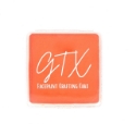Picture of GTX Butternut Squash - Orange 120g
