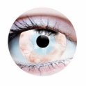 Picture of Primal Plague ( White Mini-Sclera Colored Contact lenses ) 954