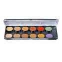 Picture of Ben Nye Media Pro Concealer 12 Color Palette (NKP-12)